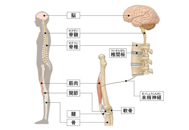 整形外科のイメージ写真